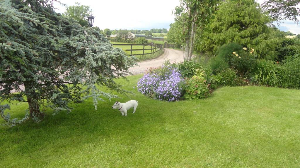 Westwood Country House 블라니 외부 사진